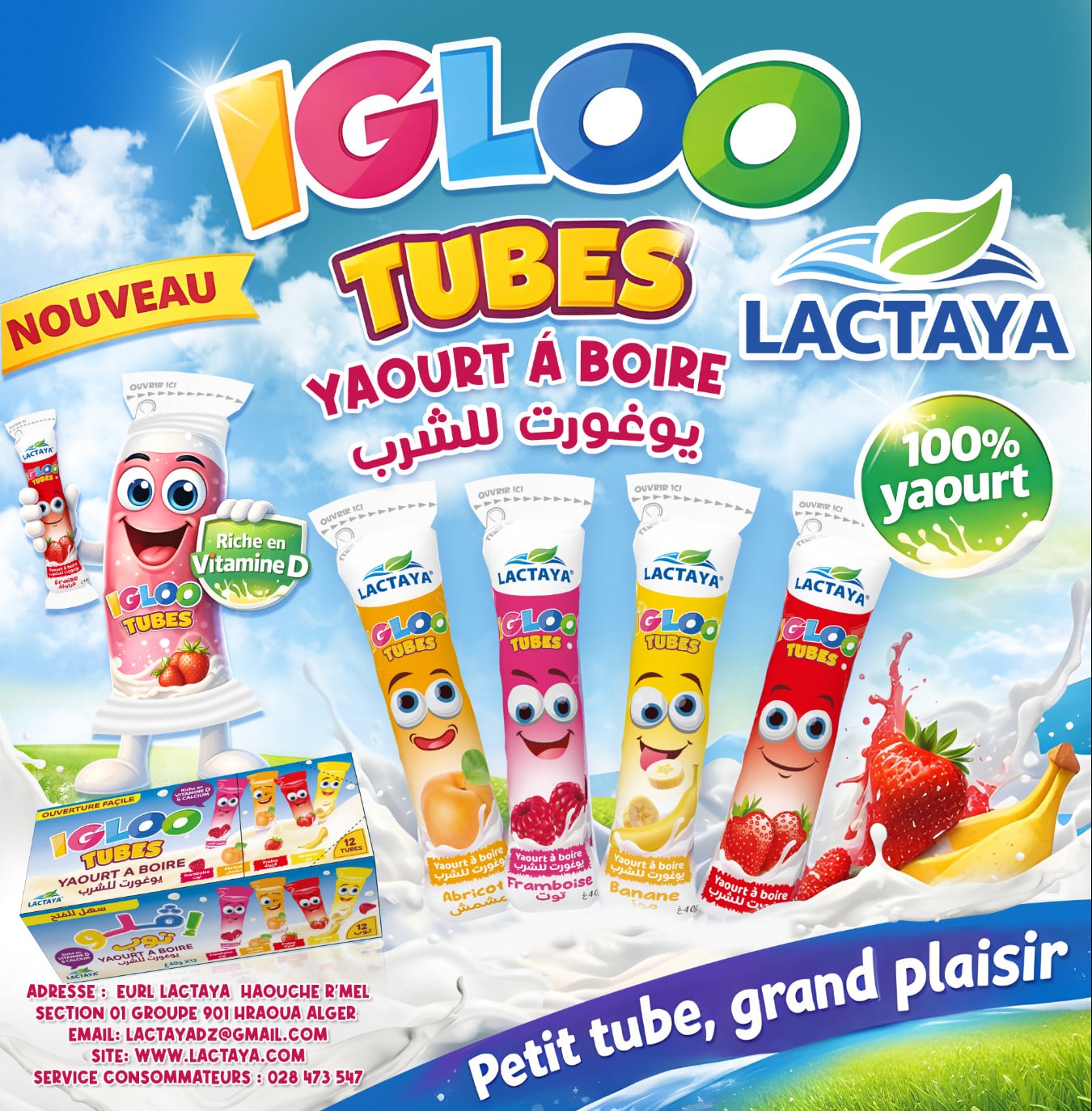 Aperçu du site LACTAYA — Agroalimentaire · réalisé par l'agence web DWS Tizi Ouzou